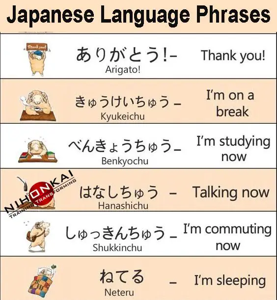 Berbagai metode belajar bahasa Jepang Belajar bahasa Jepang online