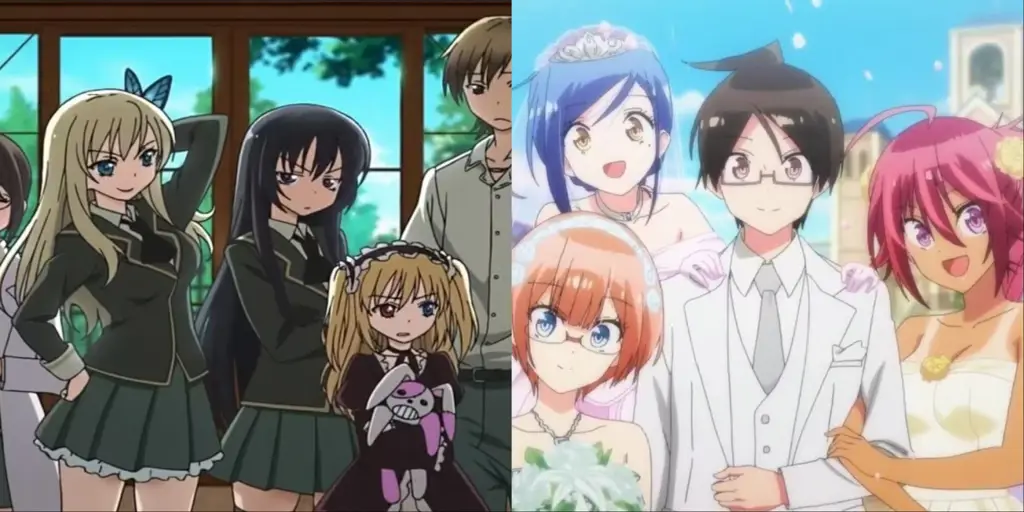 Rekomendasi Anime Harem Terbaik Gambar anime harem terbaik
