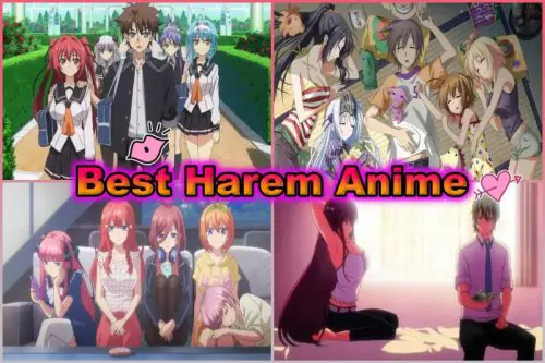 Temukan Anime Harem Tanpa Sensor Favoritmu Rekomendasi anime harem tanpa sensor terbaik
