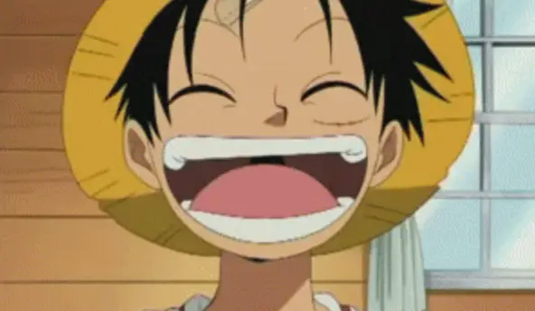 Petualangan Seru Bersama Luffy dan Kru Topi Jerami Gambar Luffy tersenyum bahagia