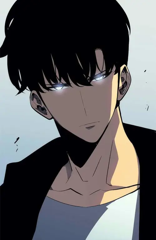 Karakter Utama Sung Jin-Woo Gambar karakter utama Sung Jin-Woo dari anime Solo Leveling