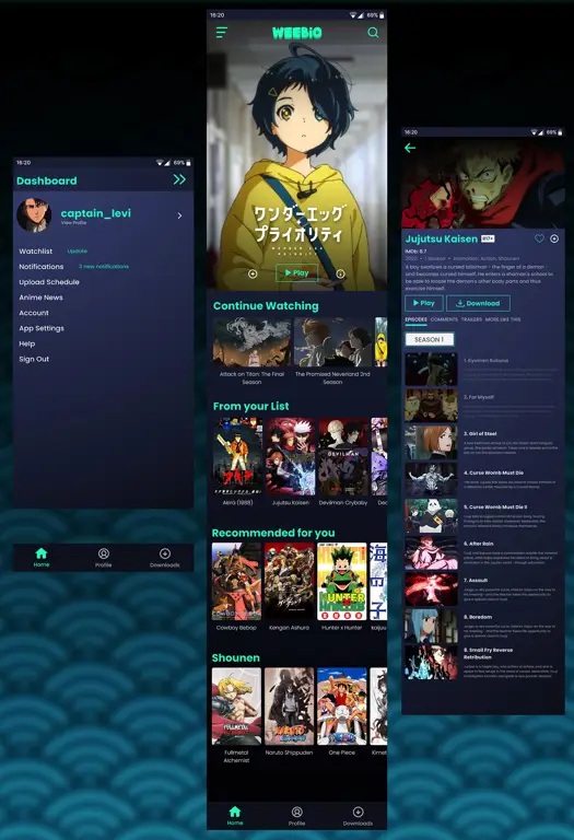 Contoh Antarmuka Aplikasi Antarmuka aplikasi streaming anime