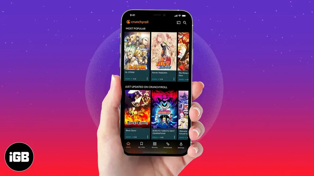 Gambar aplikasi streaming anime di laptop